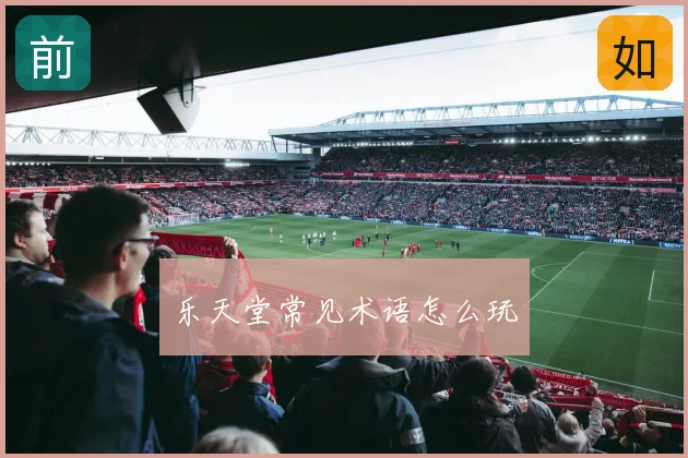 乐天堂常见术语怎么玩